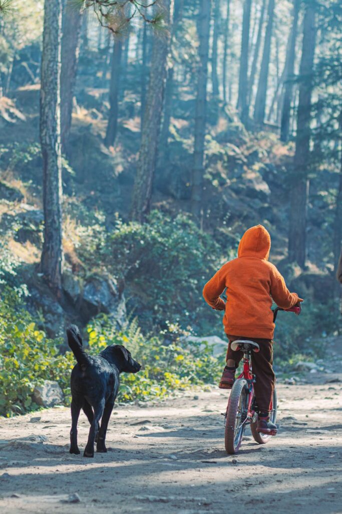 kid riding a bicycle with a dog